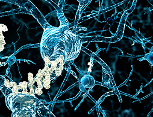 New Alzheimer’s Study Unlocks the Secrets of Aging Brain Cells