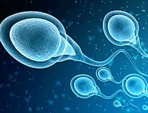 COVID-19 reduces male fertility by affecting semen quality and hormone levels