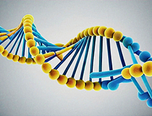 MethylGPT unlocks DNA secrets for age and disease prediction