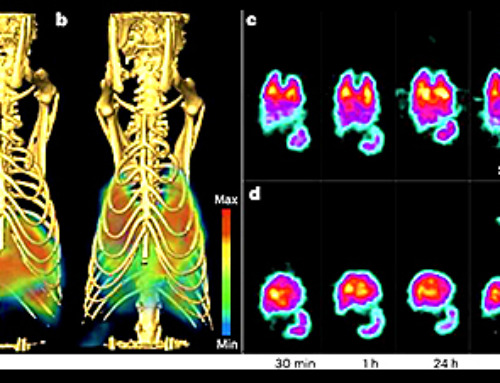 Experiments demonstrate precise delivery of nanoparticles to lung