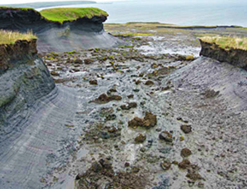 Permafrost Thaw: Unleashing Ancient Pathogens and Greenhouse Gases