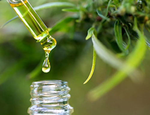 New Study Challenges Beliefs About CBD in Pregnancy, Reveals Unexpected Risks