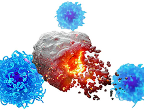 Revolutionary Cancer Vaccine Targets All Solid Tumors