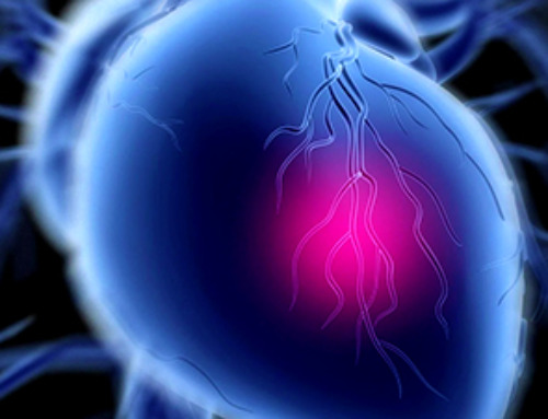 Challenging Previous Beliefs: Japanese Scientists Discover Hidden Protector of Heart