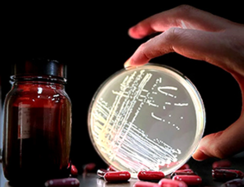 Scientists Sound Alarm: “Safe” Antibiotic Has Led to an Almost Untreatable Superbug